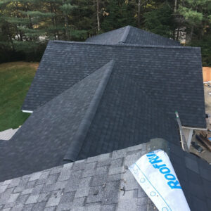 asphalt shingle roof