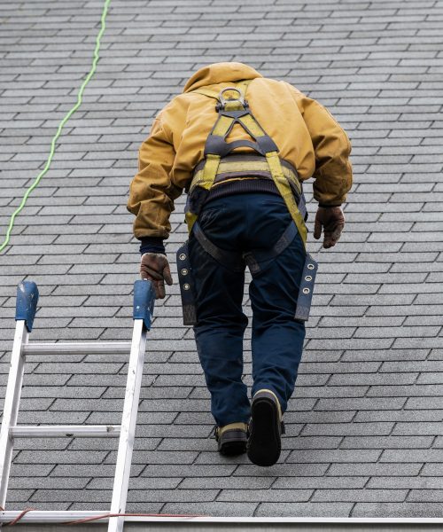 roof inspection near me